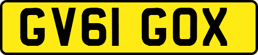 GV61GOX