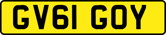 GV61GOY