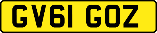 GV61GOZ