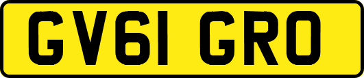 GV61GRO