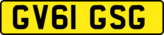 GV61GSG