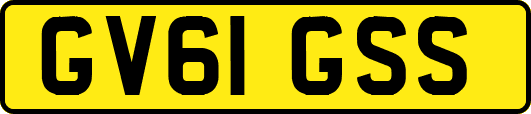 GV61GSS