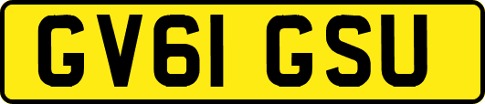 GV61GSU