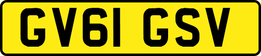 GV61GSV