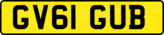 GV61GUB