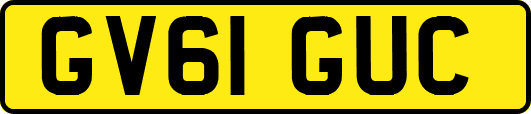 GV61GUC