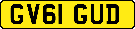 GV61GUD
