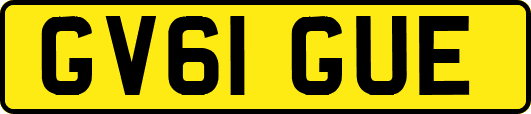 GV61GUE