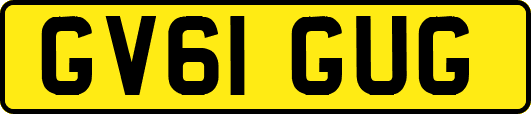 GV61GUG