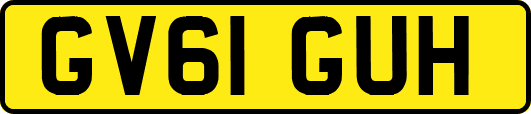 GV61GUH