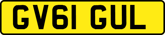 GV61GUL