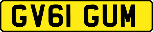 GV61GUM