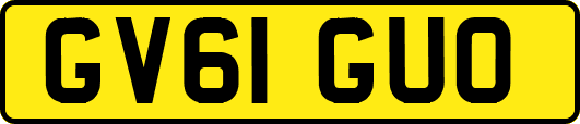 GV61GUO