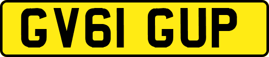GV61GUP