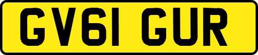GV61GUR