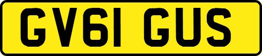 GV61GUS