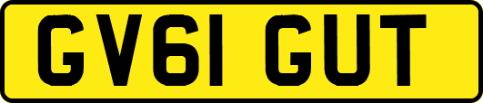 GV61GUT