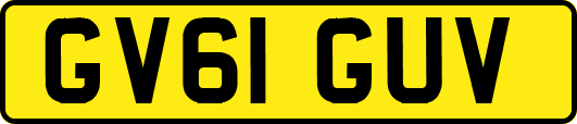 GV61GUV