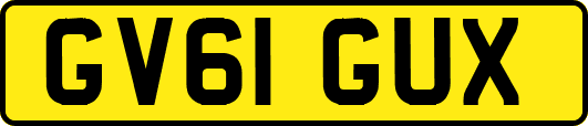 GV61GUX