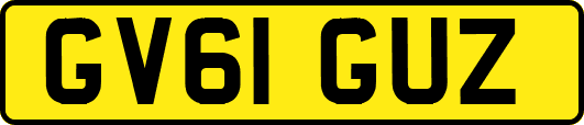 GV61GUZ