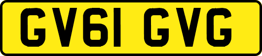 GV61GVG