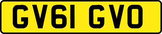 GV61GVO
