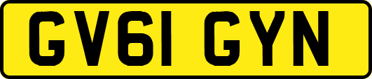 GV61GYN