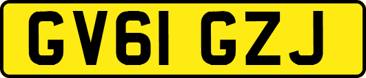 GV61GZJ