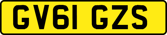 GV61GZS