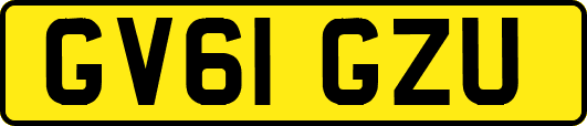 GV61GZU