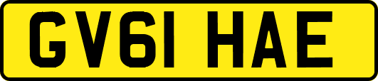 GV61HAE