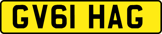 GV61HAG
