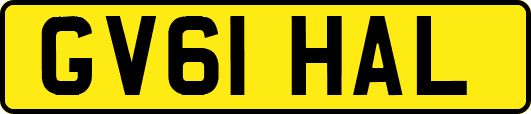 GV61HAL