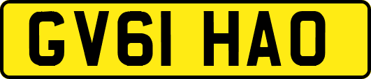 GV61HAO