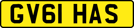 GV61HAS