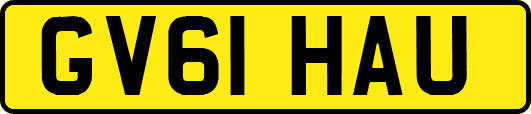 GV61HAU