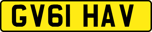 GV61HAV