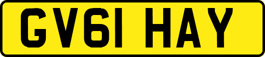 GV61HAY