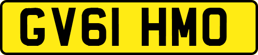 GV61HMO