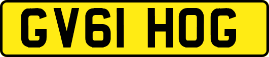 GV61HOG