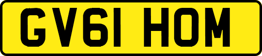 GV61HOM