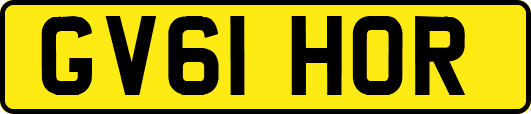 GV61HOR