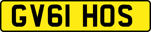 GV61HOS
