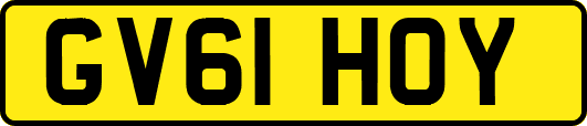 GV61HOY