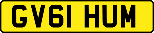 GV61HUM