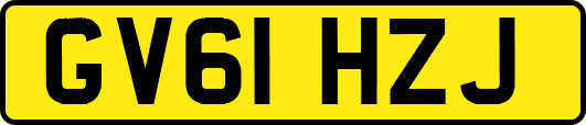 GV61HZJ