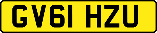 GV61HZU