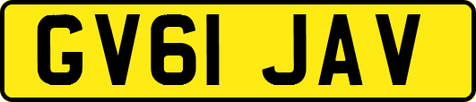 GV61JAV