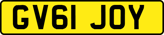 GV61JOY