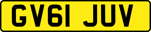 GV61JUV